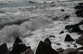 IMG_9482