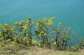 IMG_9535