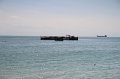 IMG_9551