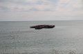 IMG_9559