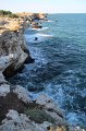 IMG_9663