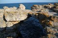 IMG_9671