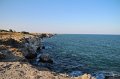 IMG_9688