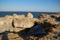 IMG_9689