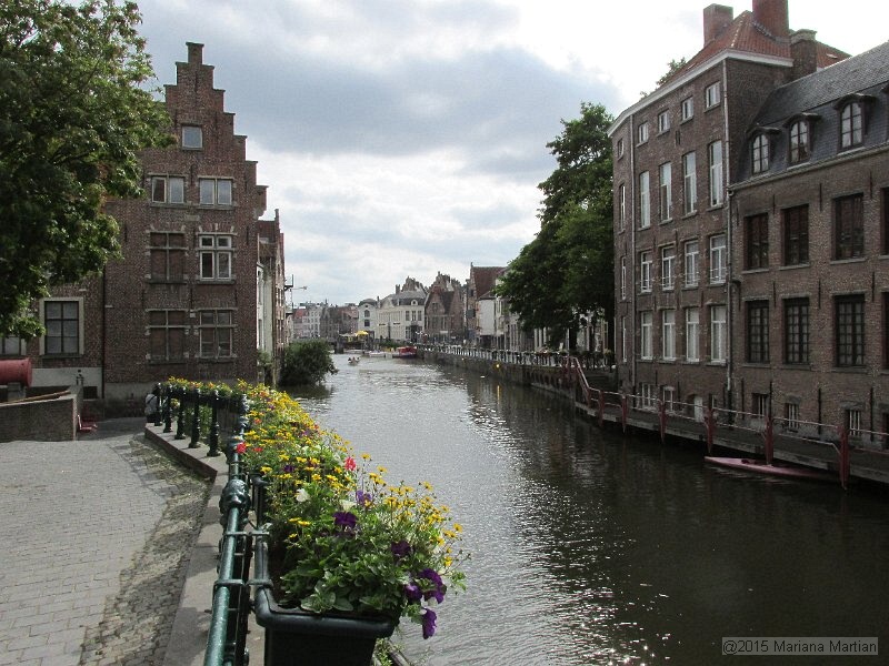 IMG_1004.JPG