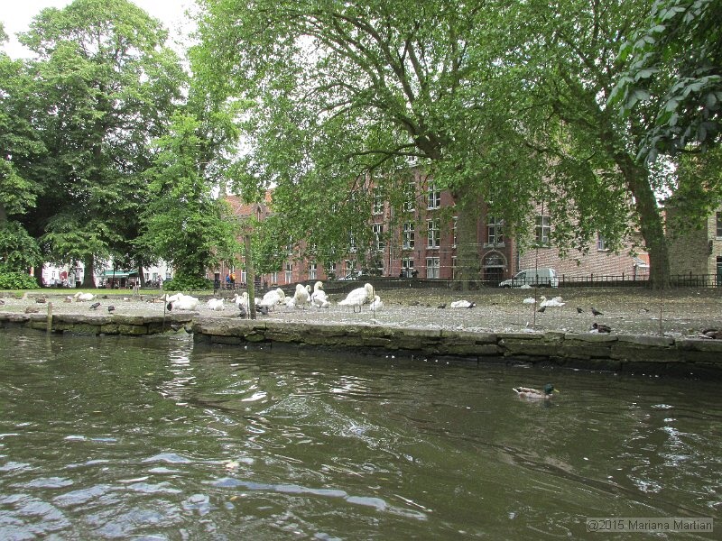IMG_1032.JPG