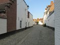 IMG_0786
