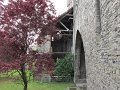 IMG_0880