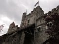 IMG_0881