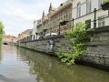 IMG_0945