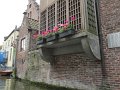 IMG_0959