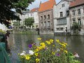 IMG_0982