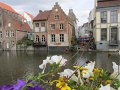 IMG_0994