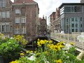 IMG_1003