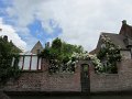 IMG_1029