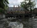 IMG_1033