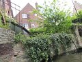 IMG_1040