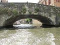 IMG_1050