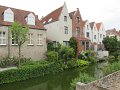 IMG_1108