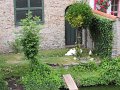 IMG_1118