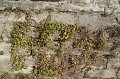 IMG_1712