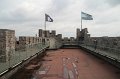 IMG_1822