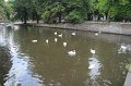 IMG_1928