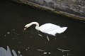 IMG_1930