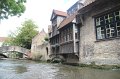 IMG_1951