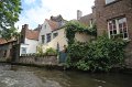 IMG_1953