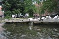 IMG_1963
