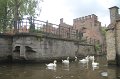 IMG_1964