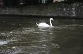 IMG_1965