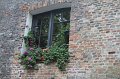 IMG_1970
