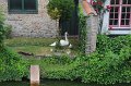 IMG_2061