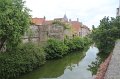 IMG_2065