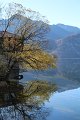 IMG_4150