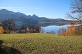 IMG_4173