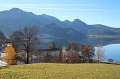 IMG_4175