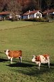 IMG_4180