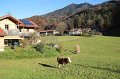 IMG_4181