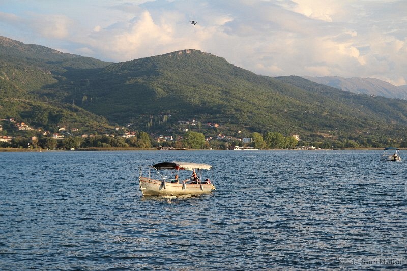 IMG_3420.JPG