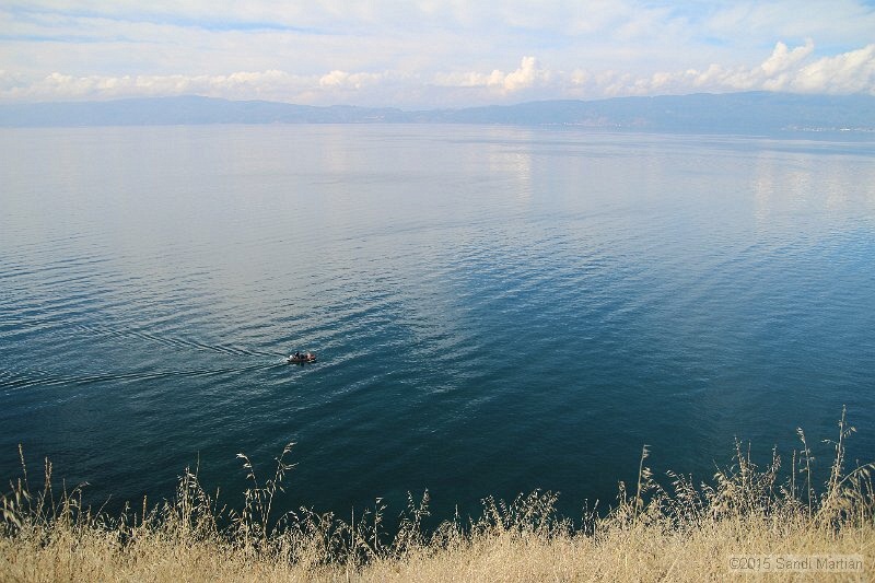 IMG_3557.JPG