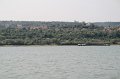 IMG_3311