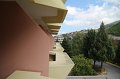 IMG_3328