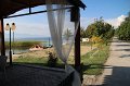 IMG_3350