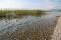 IMG_3352