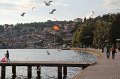 IMG_3381