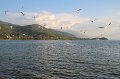 IMG_3383