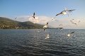 IMG_3388